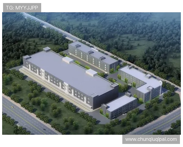 凯发集团简介和历史：详细解析公司成立的初衷与未来发展战略