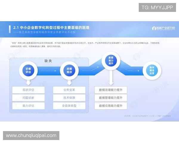 凯发旗舰平台助力企业数字化转型,推动线上商务生态持续健康发展